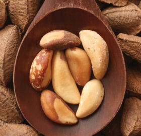 Brazil Nuts