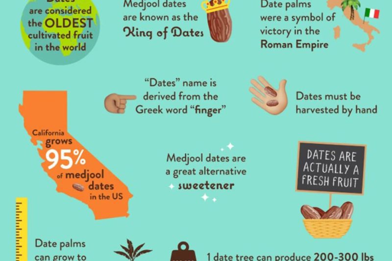Fun Facts