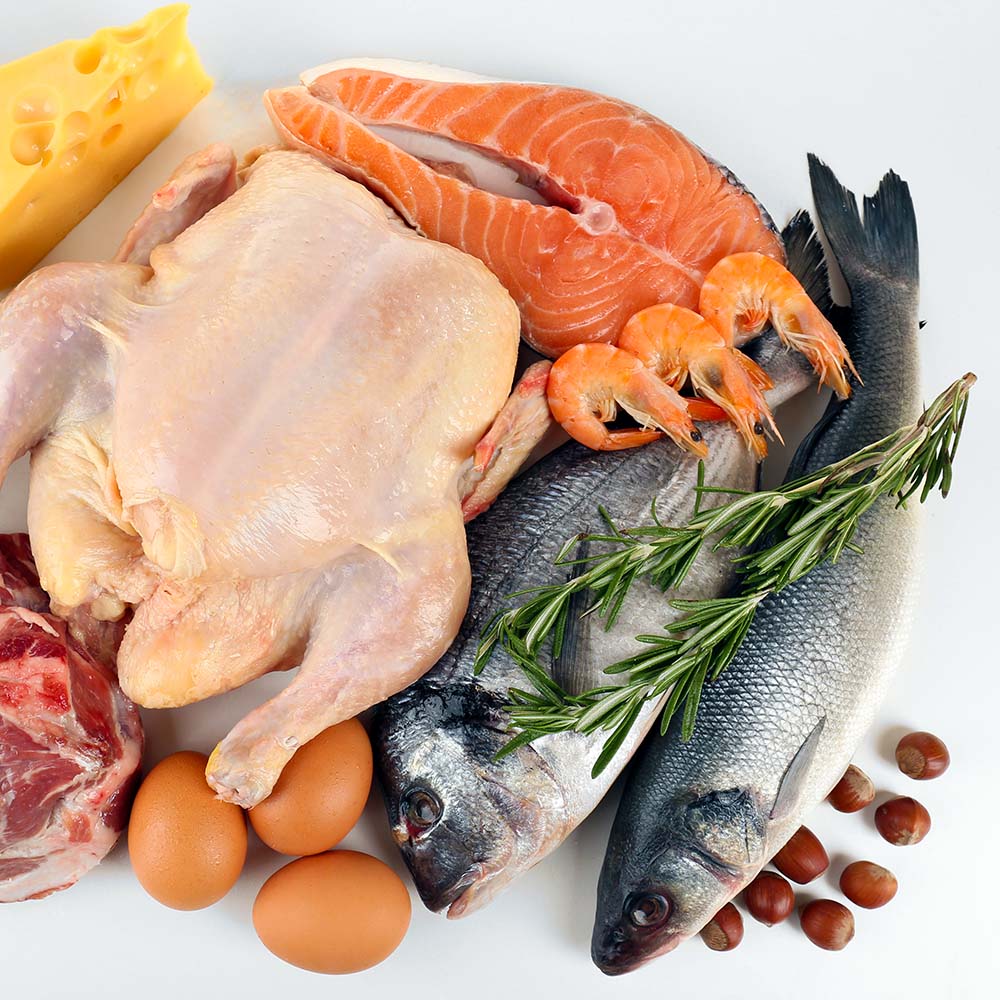 Fish & Meats