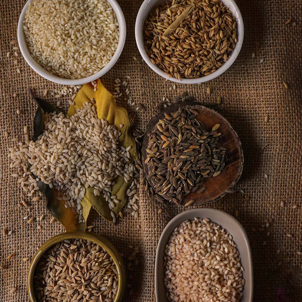 Rice