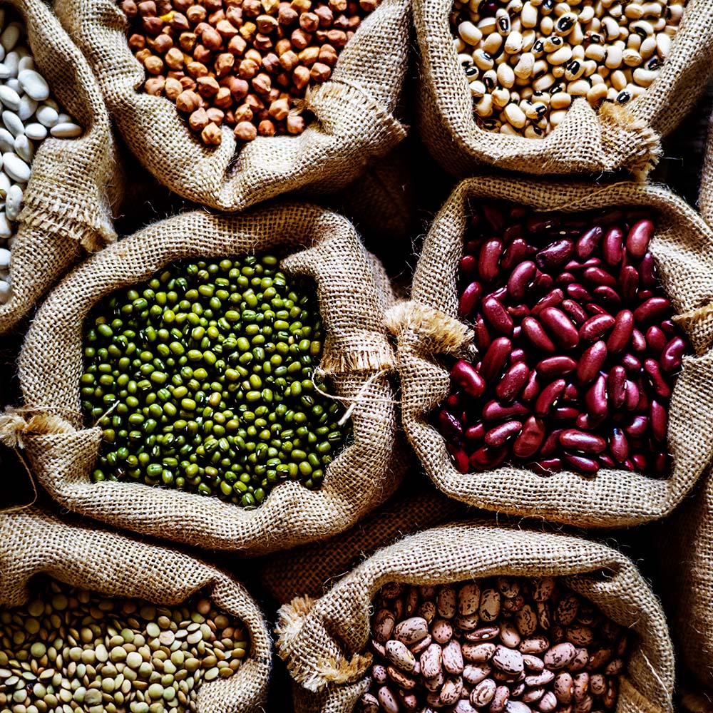 Seeds & Bins