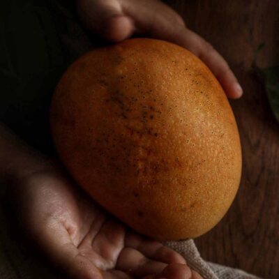 Fruit Bagging Himsagor