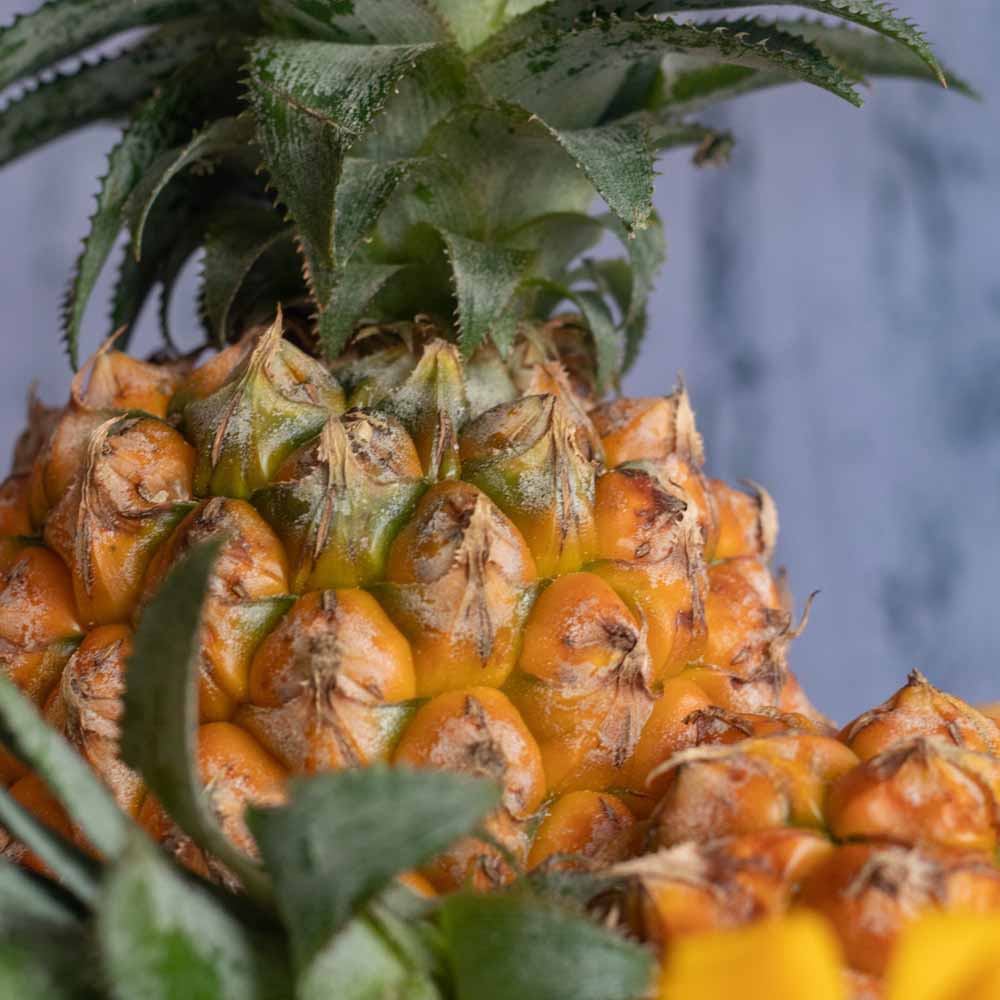 Pinaple